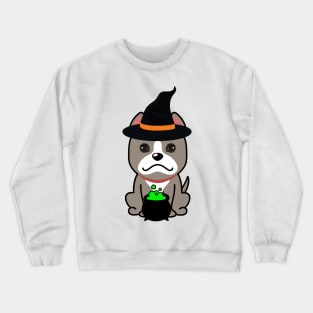 Cute grey dog is a witch Crewneck Sweatshirt